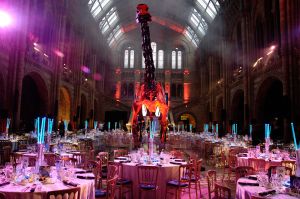 Photography for corporate event set-up at the Natural History Museum